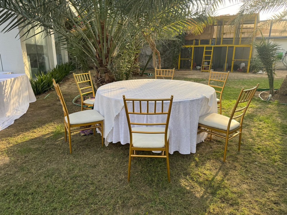 افراح قطر - 13