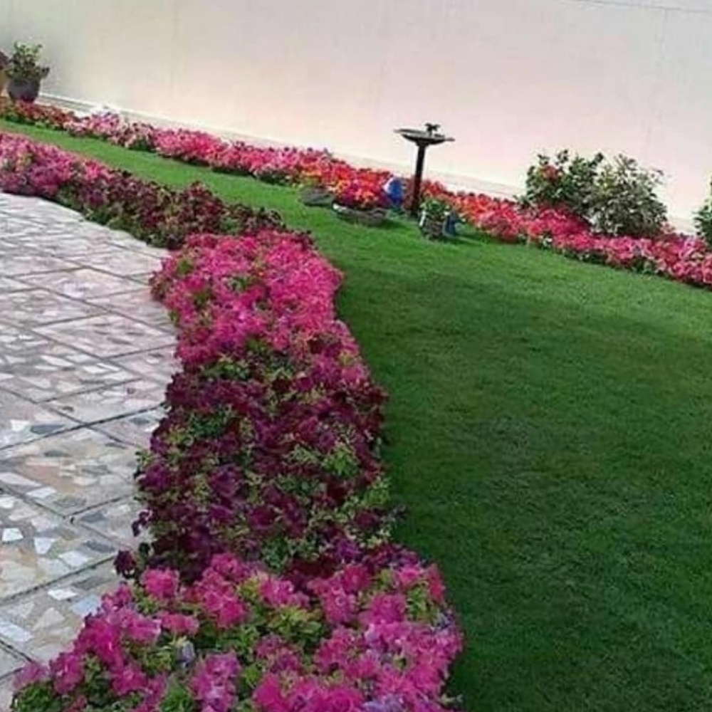 مزارع ومنسق حدائق - 6