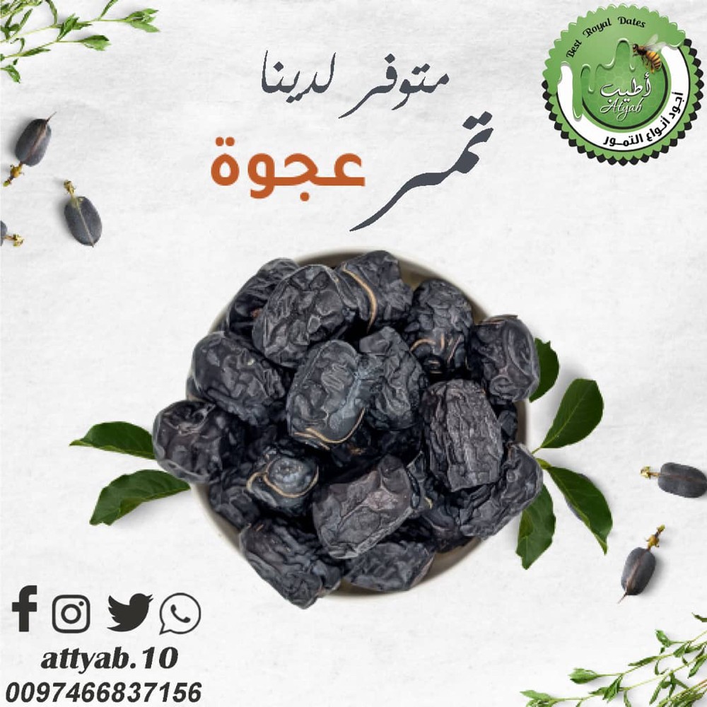 اجود انواع التمور - 15
