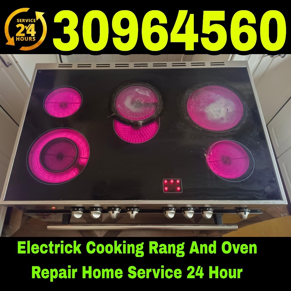 Electrick Oven And Cooker Repair - 1