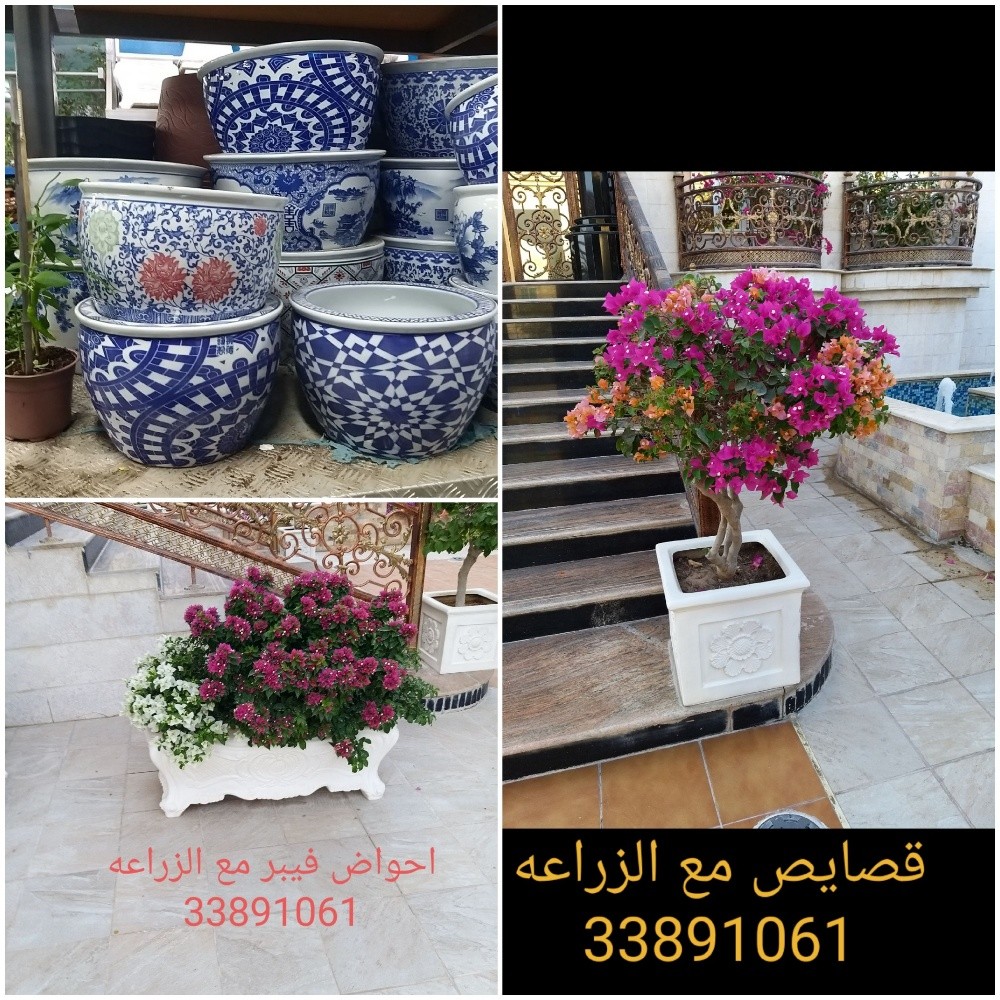 تصميم وانشاء وزراعة الحدائق - 21