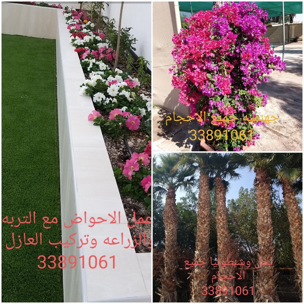 تصميم وانشاء وزراعة الحدائق - 23