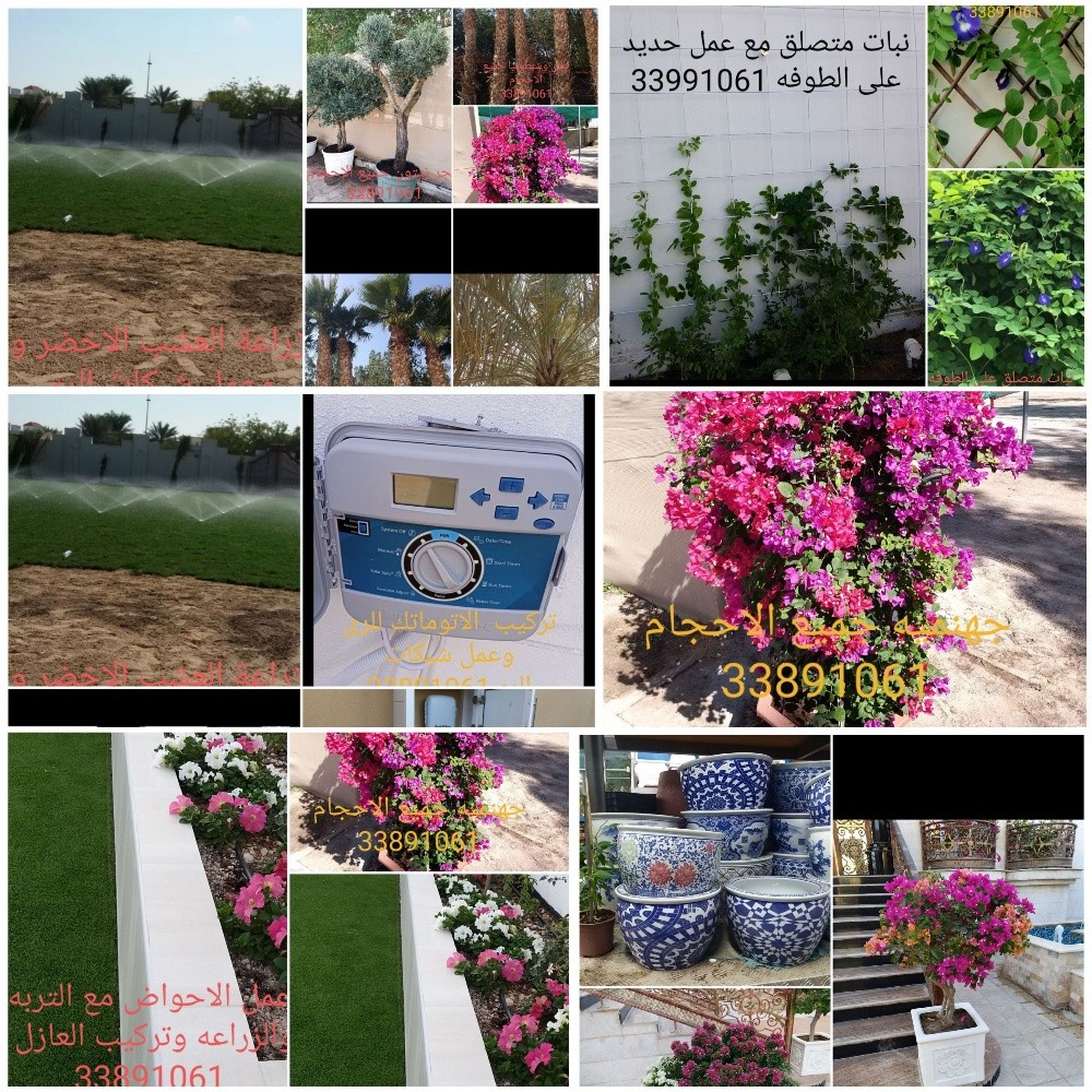 تصميم وانشاء وزراعة الحدائق - 14