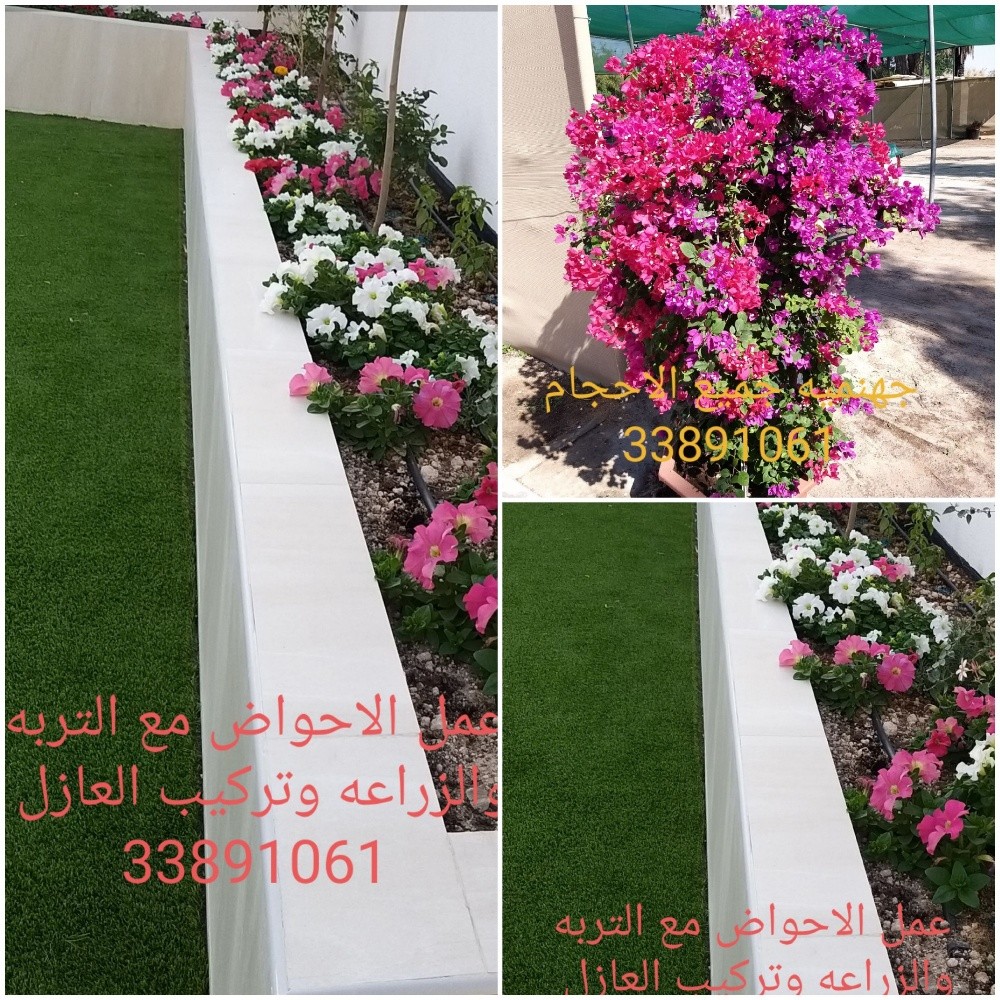 تصميم وانشاء وزراعة الحدائق - 25