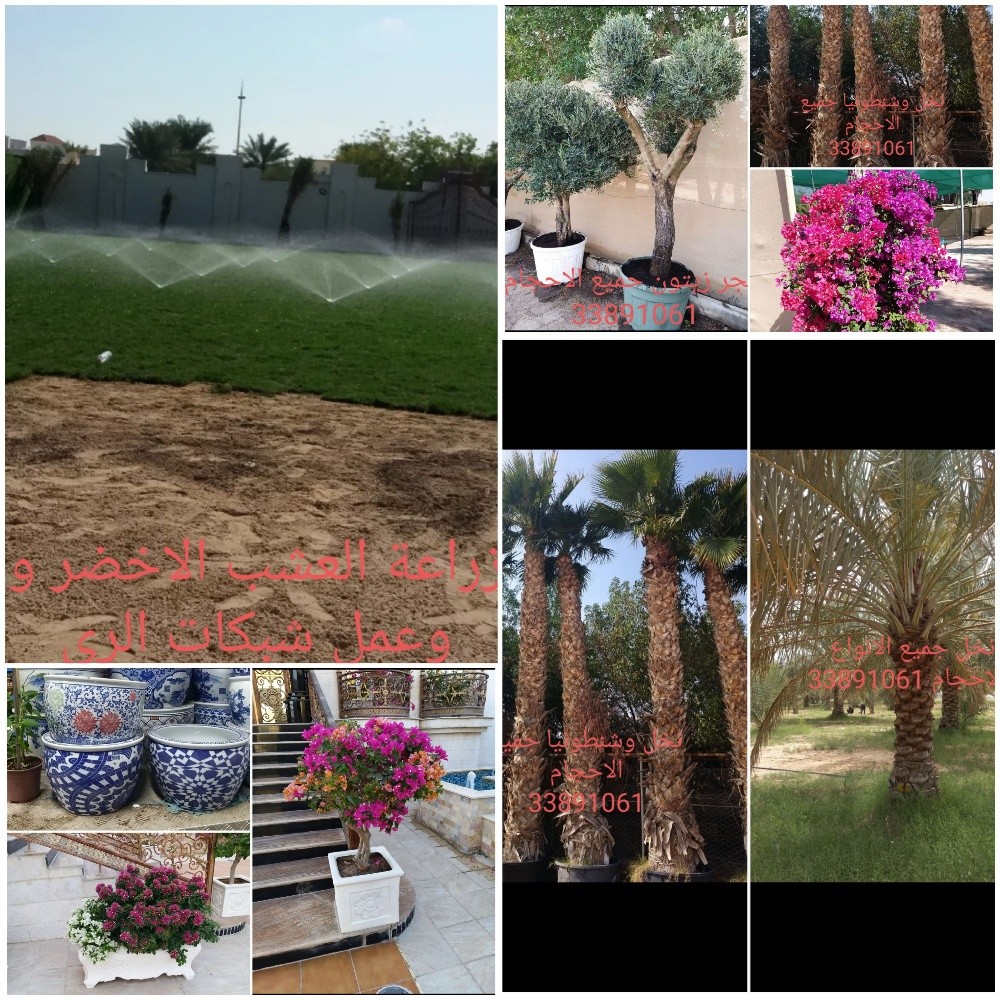 تصميم وانشاء وزراعة الحدائق - 19