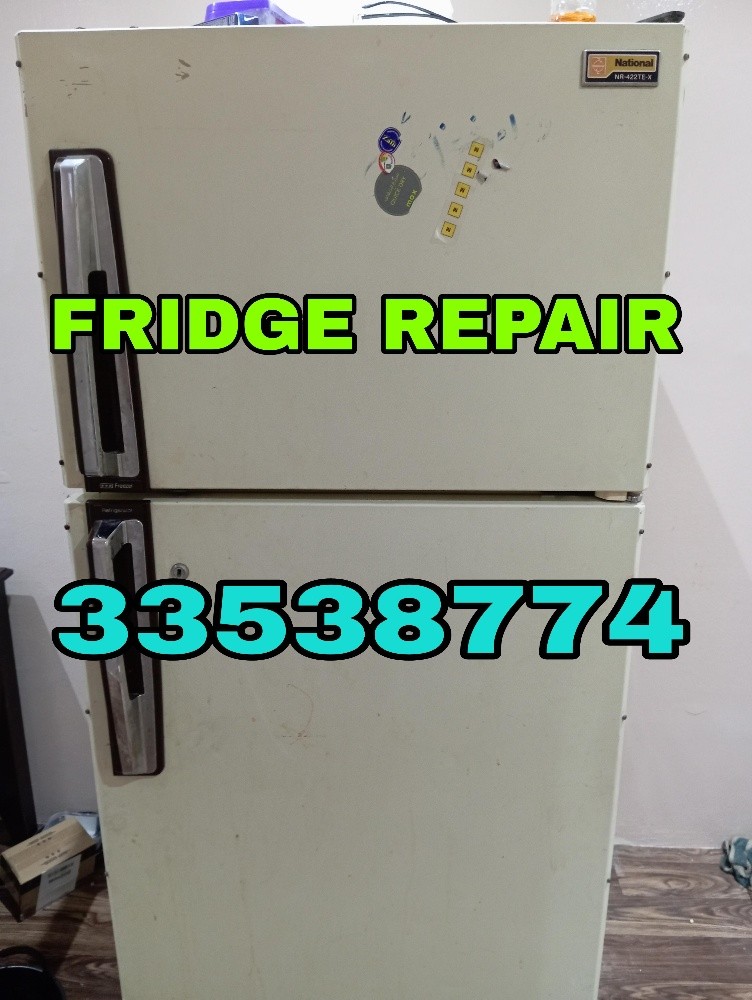 Refregaretor repair and service - 1