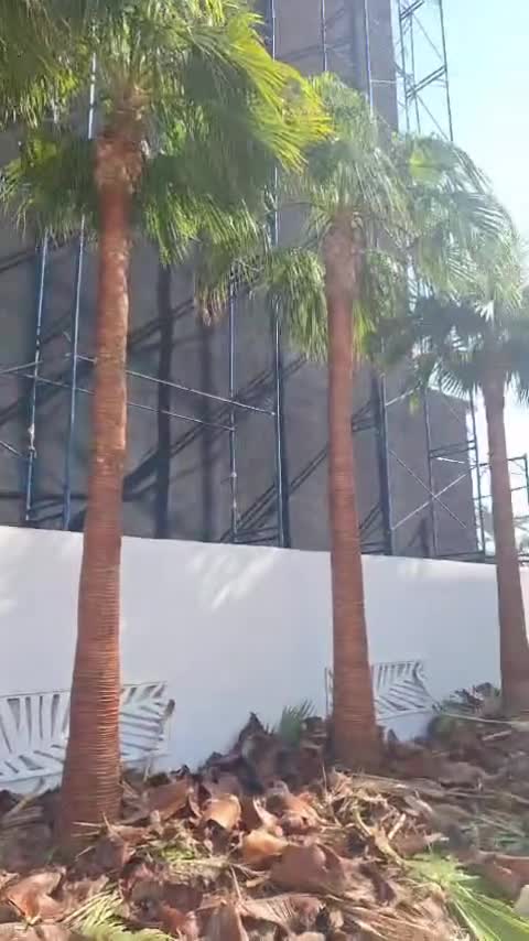 تكريب النخل - 1
