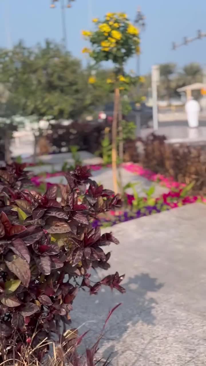 مزارع - 1
