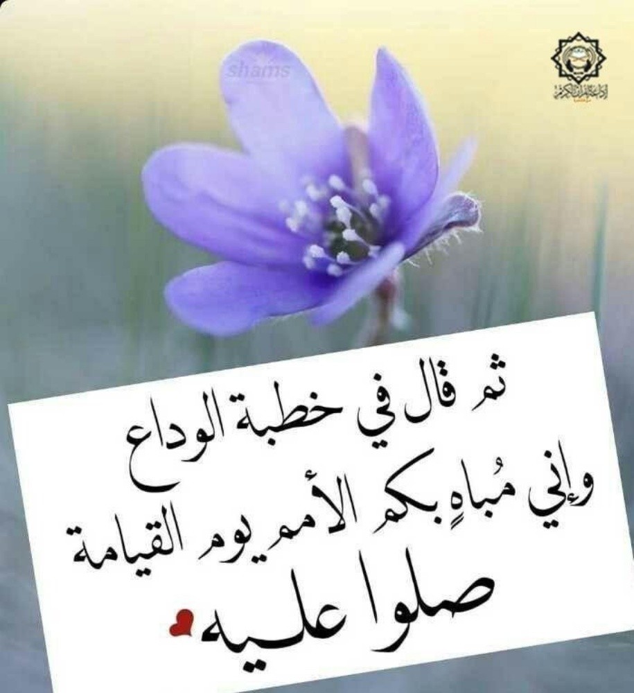 معلمه لغة عربية - 2