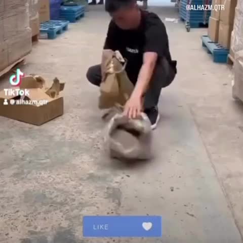 Mobile air bed - 3