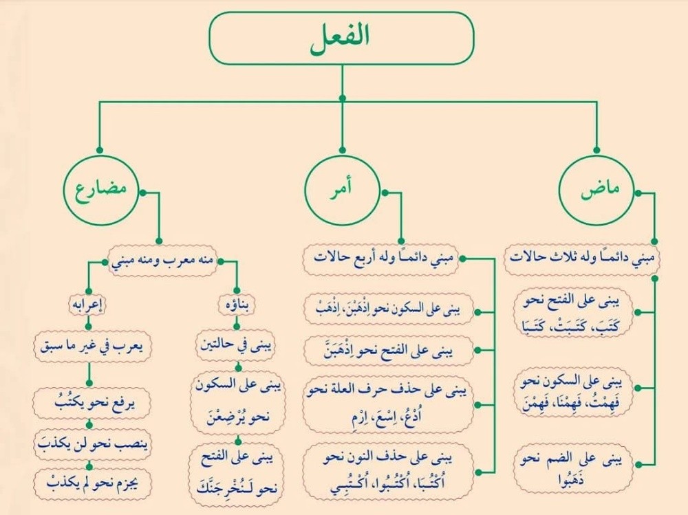 معلم لغة عربية وشرعية - 1