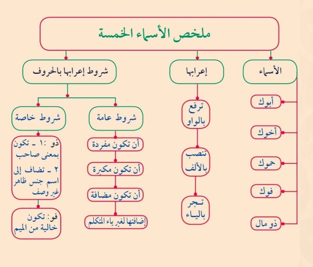مدرس تحفيظ القرآن وتأسيس - 2