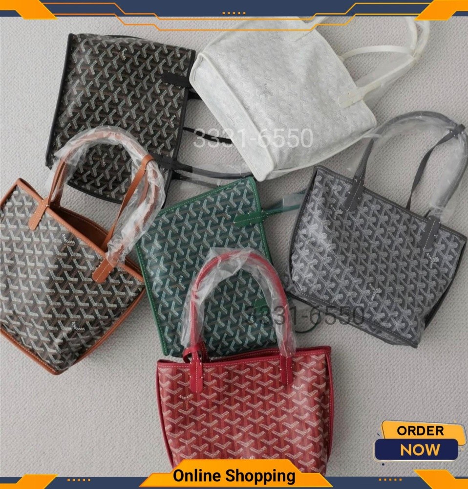 Goyard School Bag - 8