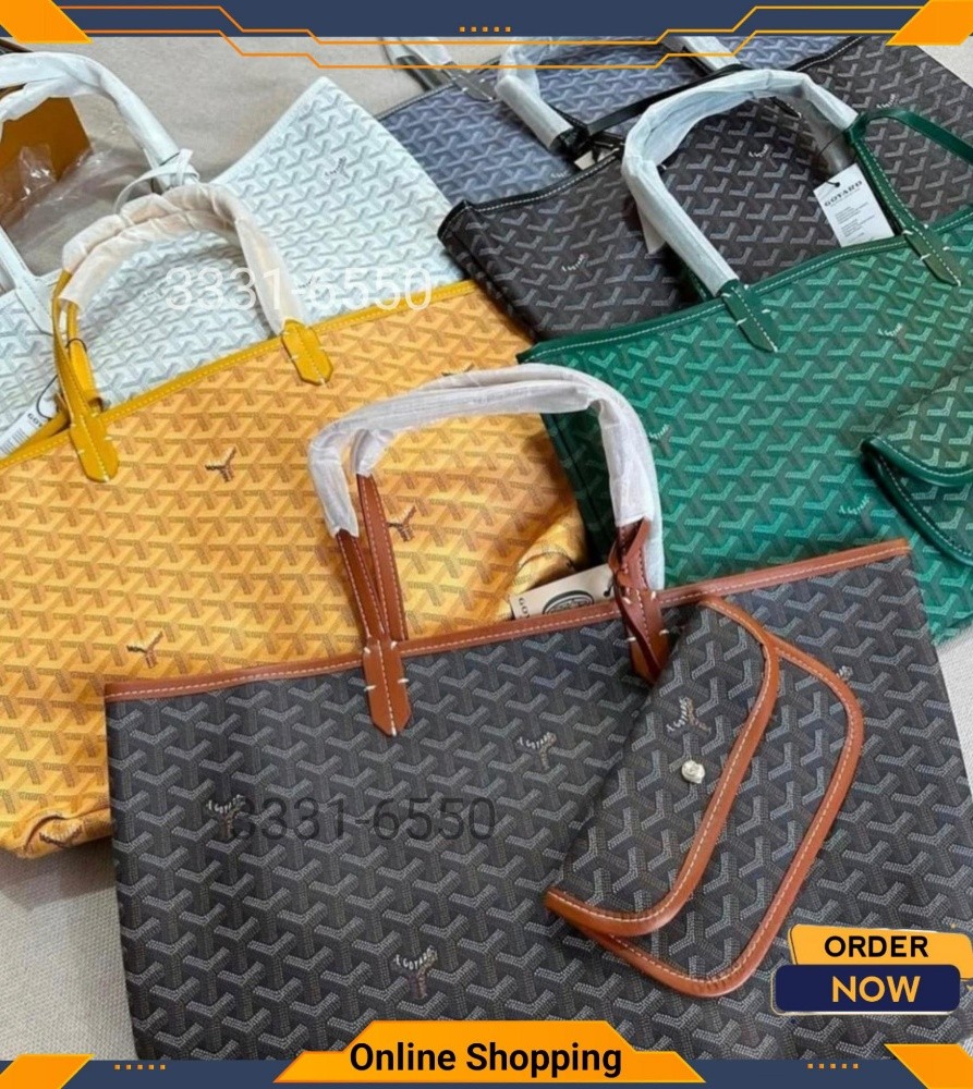 Goyard School Bag - 4