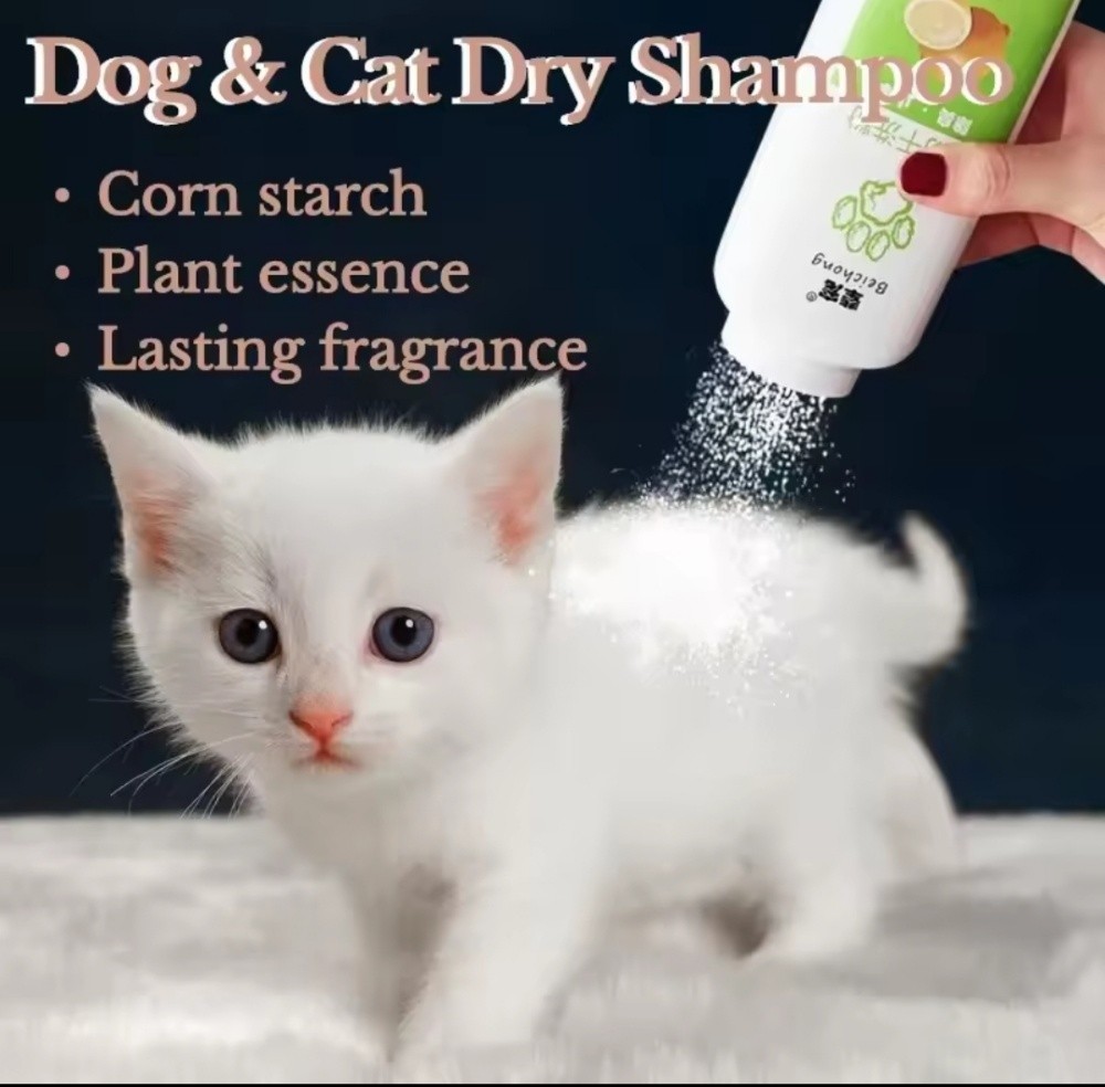pet cat dog wipe clean powder eye - 3