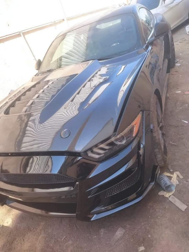 painting and body works - 4