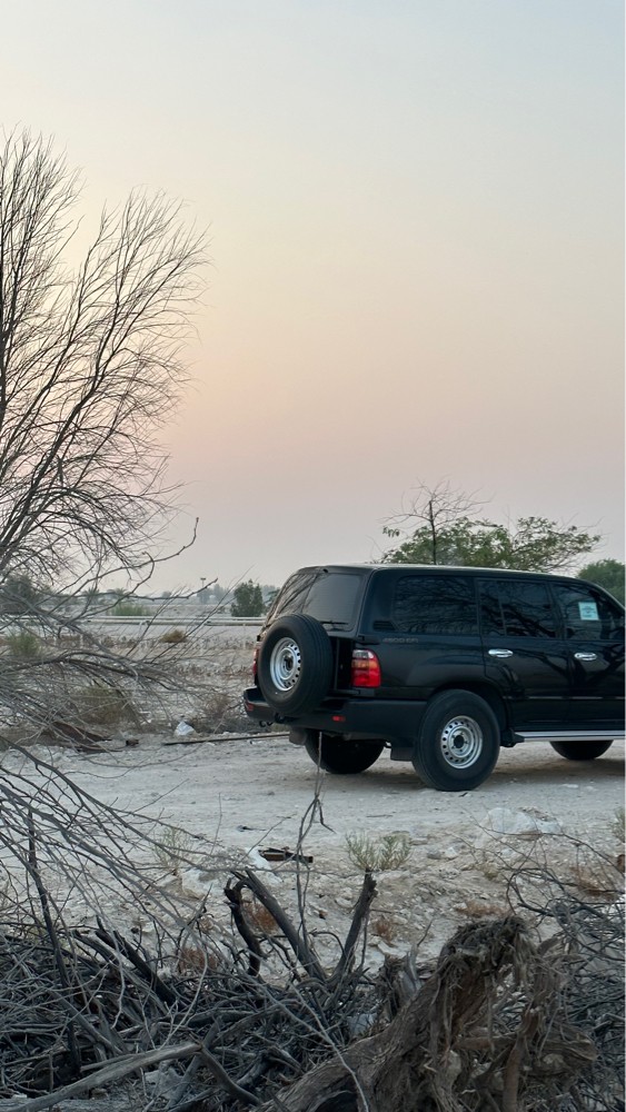 ستاندر ٢٠٠١ - 1