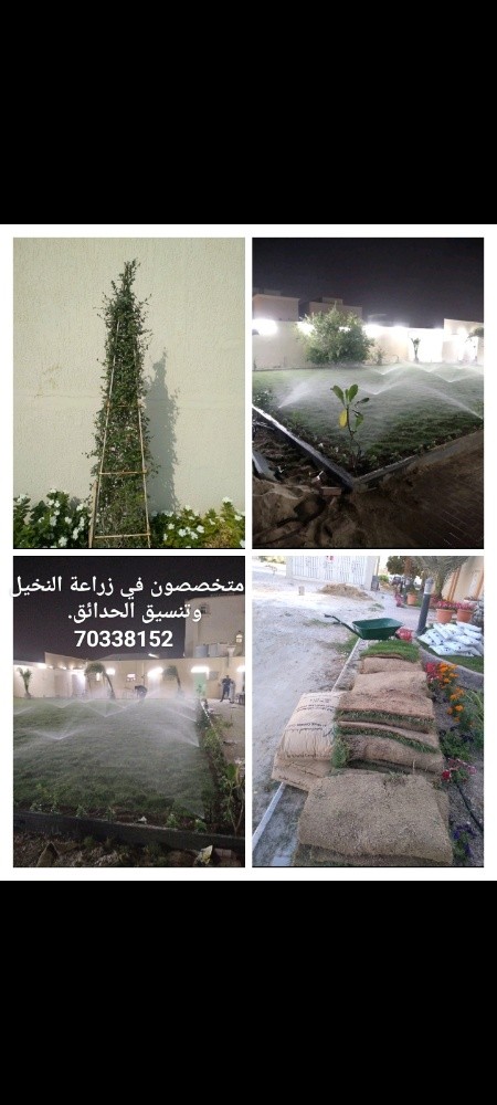 زراعة الورود وقص الحشايش وصيانه - 7