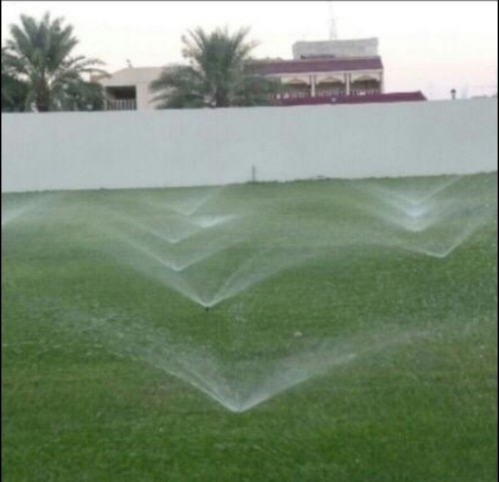 تنسيق الحدائق - 9
