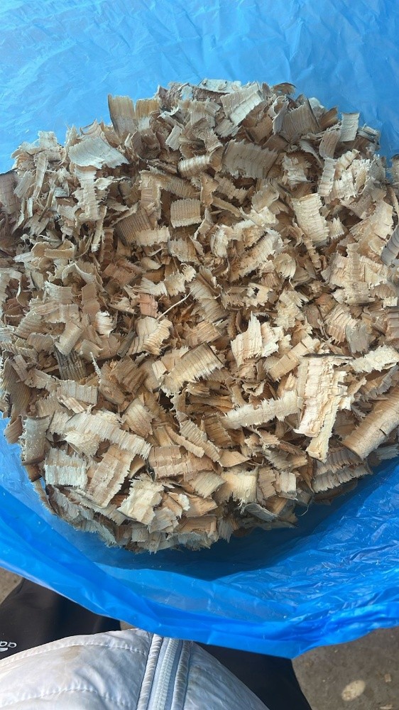 Wood Shaving Free Delivery - 5