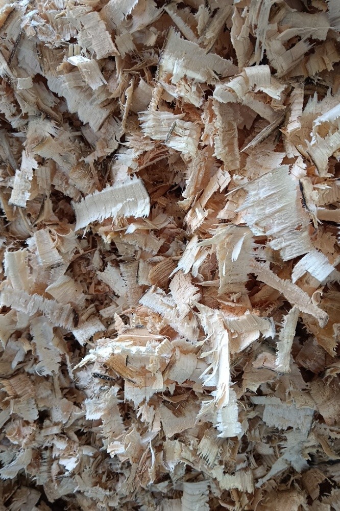 Wood Shaving Free Delivery - 1