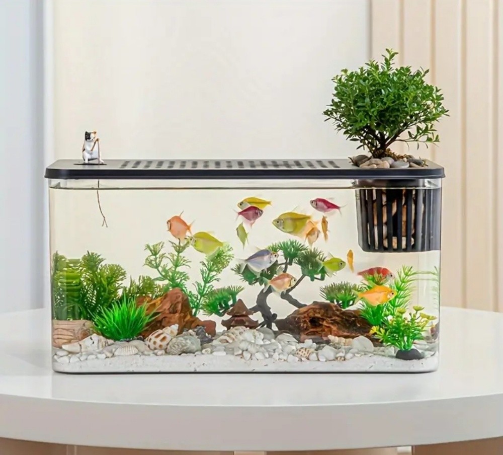 fish tank aquarium desktop - 4