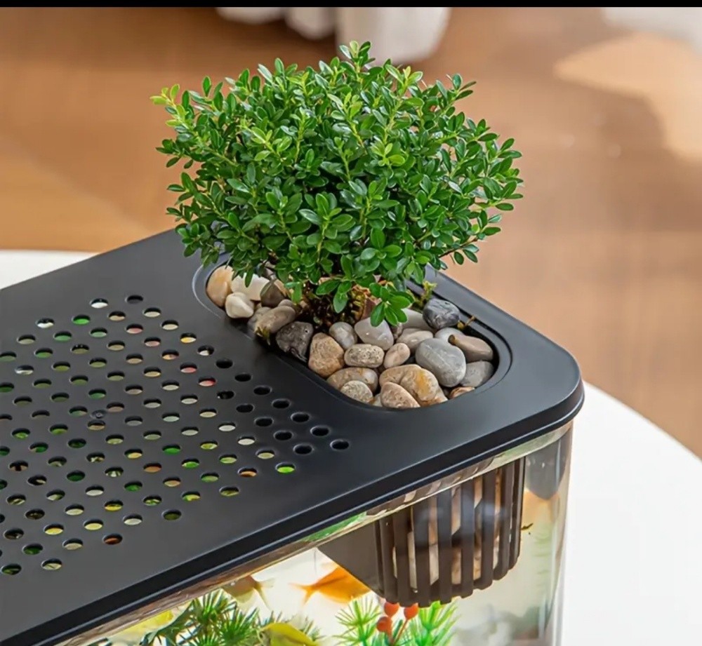fish tank aquarium desktop - 5
