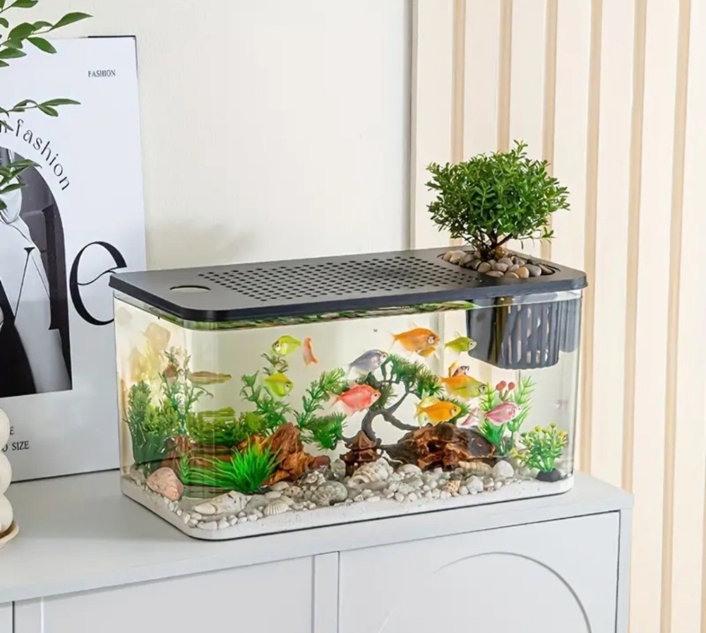 fish tank aquarium desktop - 6