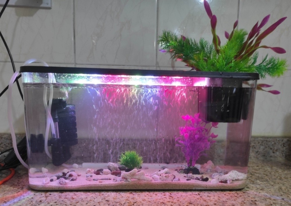 fish tank aquarium desktop - 2