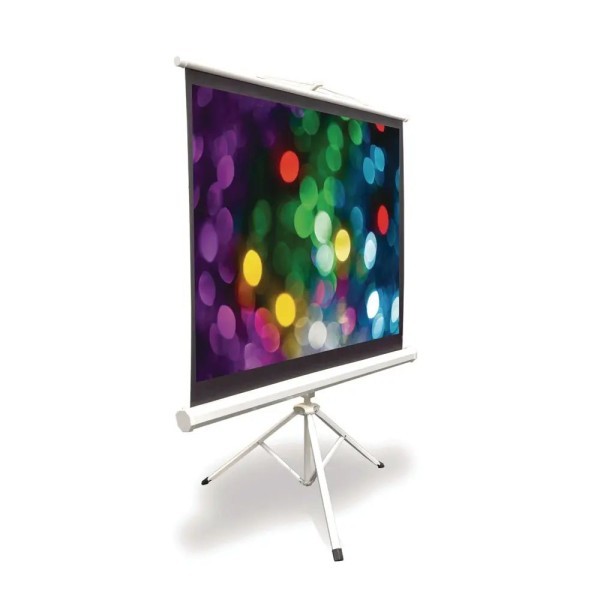 Foldable Projection Screen - 2