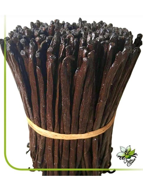 Vanilla Beans - 2