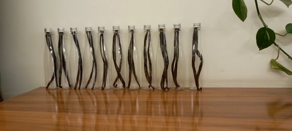 Vanilla Beans - 1