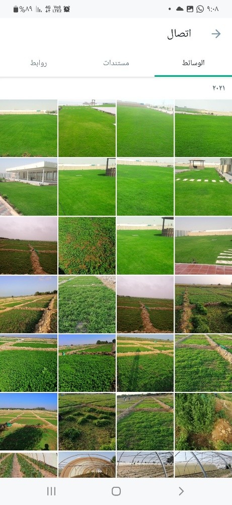 اشجار زينه ومثمره - 13