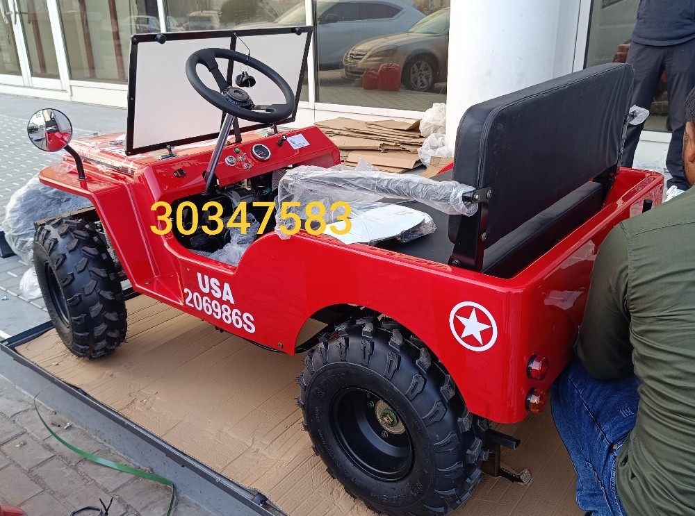 mini jeep - 4