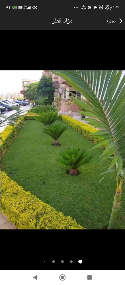 مزارع - 12