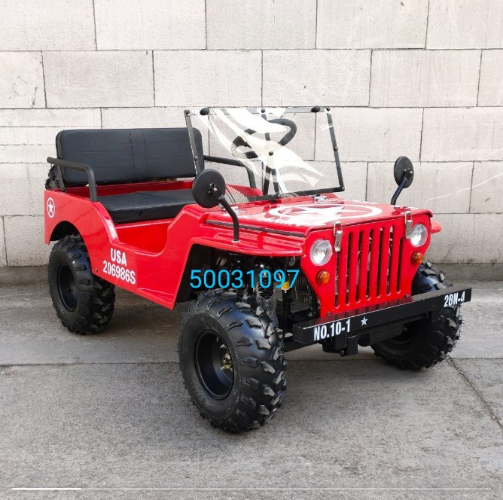 mini Jeep car 150cc - 3