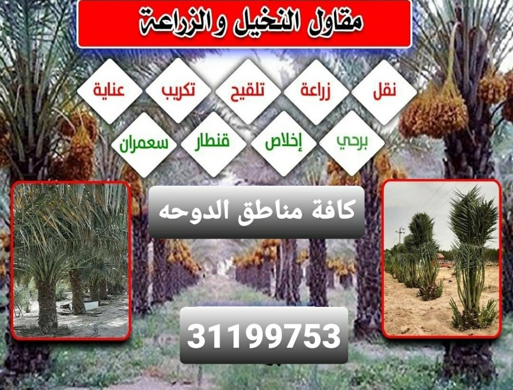 المهندس الزراعي داود - 2