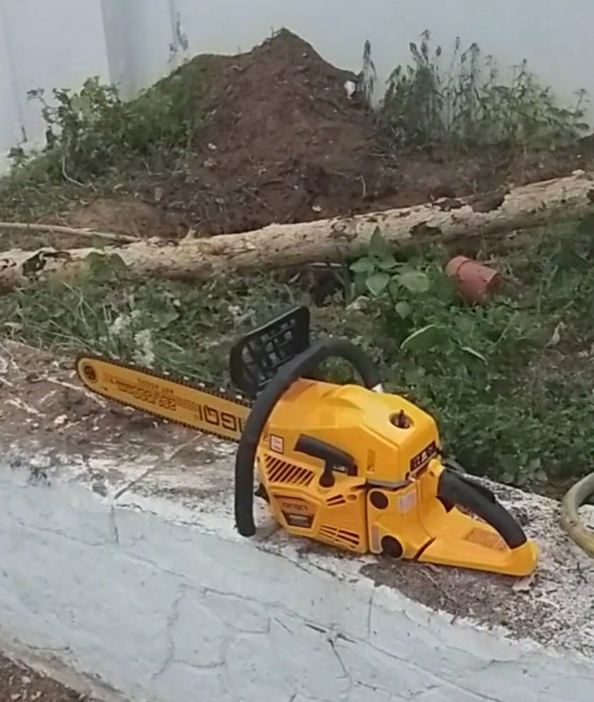 المهندس الزراعي داود - 10