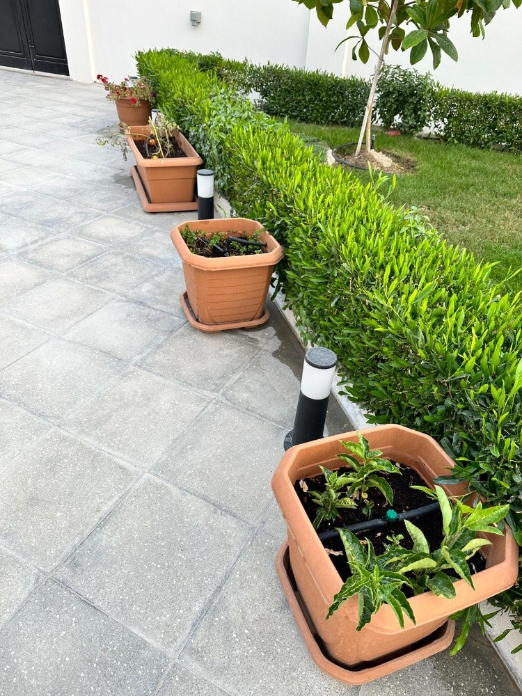 زراعه وديكور - 2