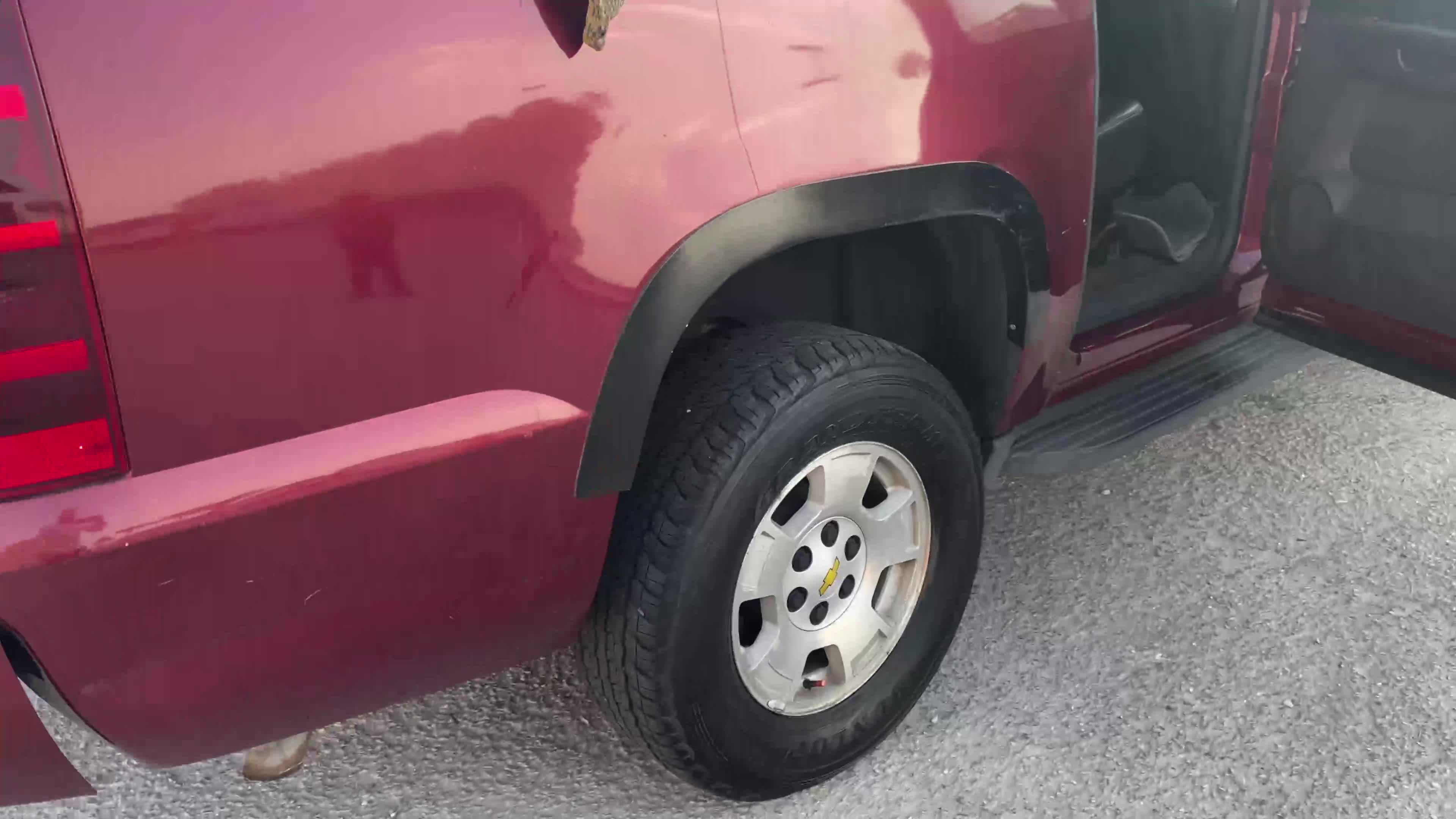 Chevy Avalanche 2009. maroon. - 1