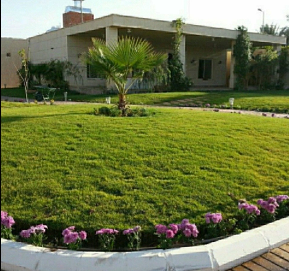 تنظيف وترتيب وتنسيق الحدائق - 1