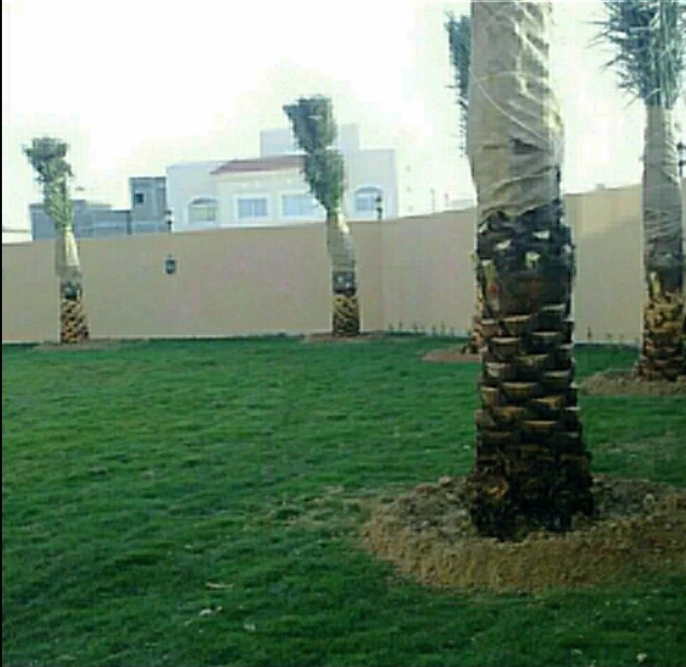 تنظيف وترتيب وتنسيق الحدائق - 3