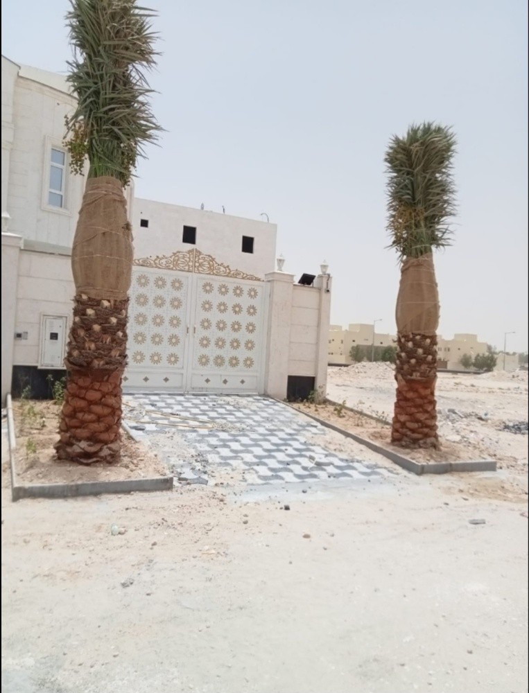 توريد وتركيب وتنظيف النخل - 6