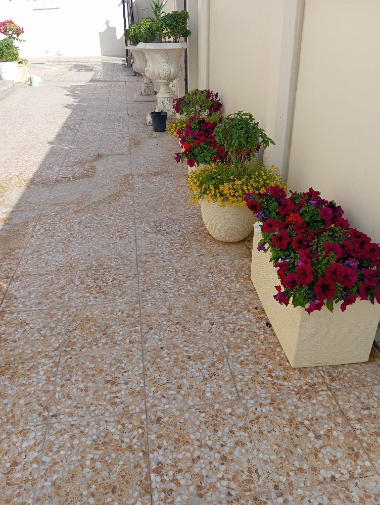 زراعه وديكور - 4