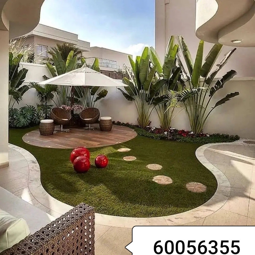 صبغ وجلسات ونوفير - 22