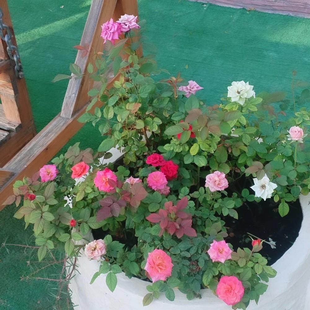 ديكور لاند - 6