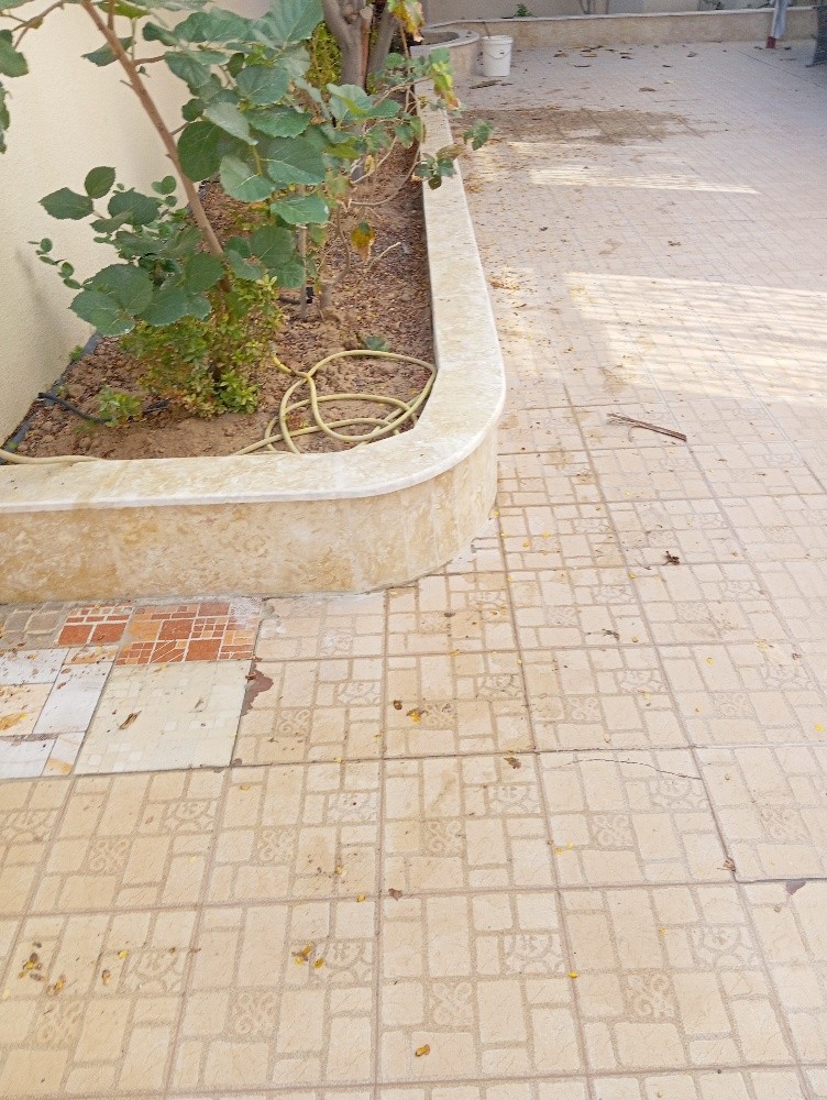 زراعه وديكور الحدائق - 3