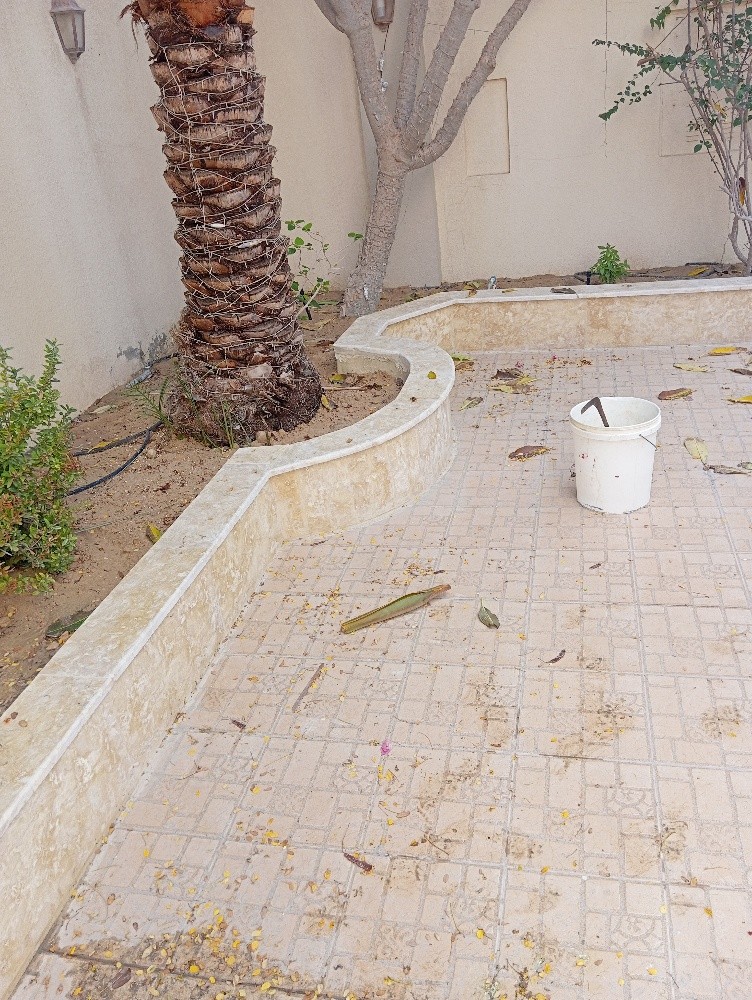 زراعه وديكور الحدائق - 1