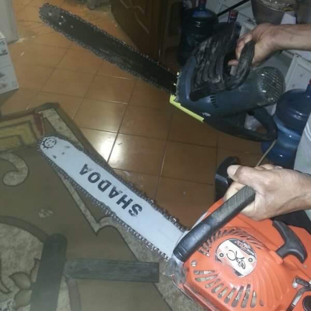 مقطع اشجار - 4