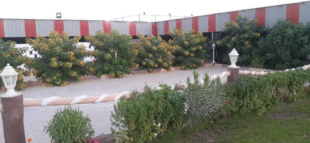 زراعه وديكور - 3
